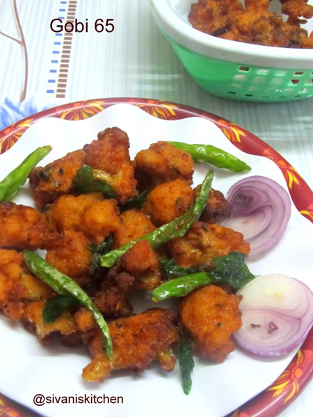 gobi 65